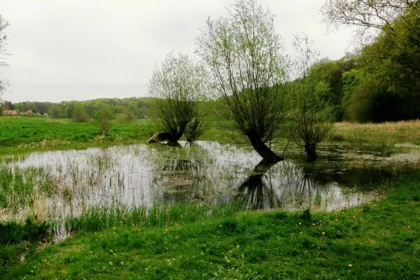 wulkenzin-landschaft